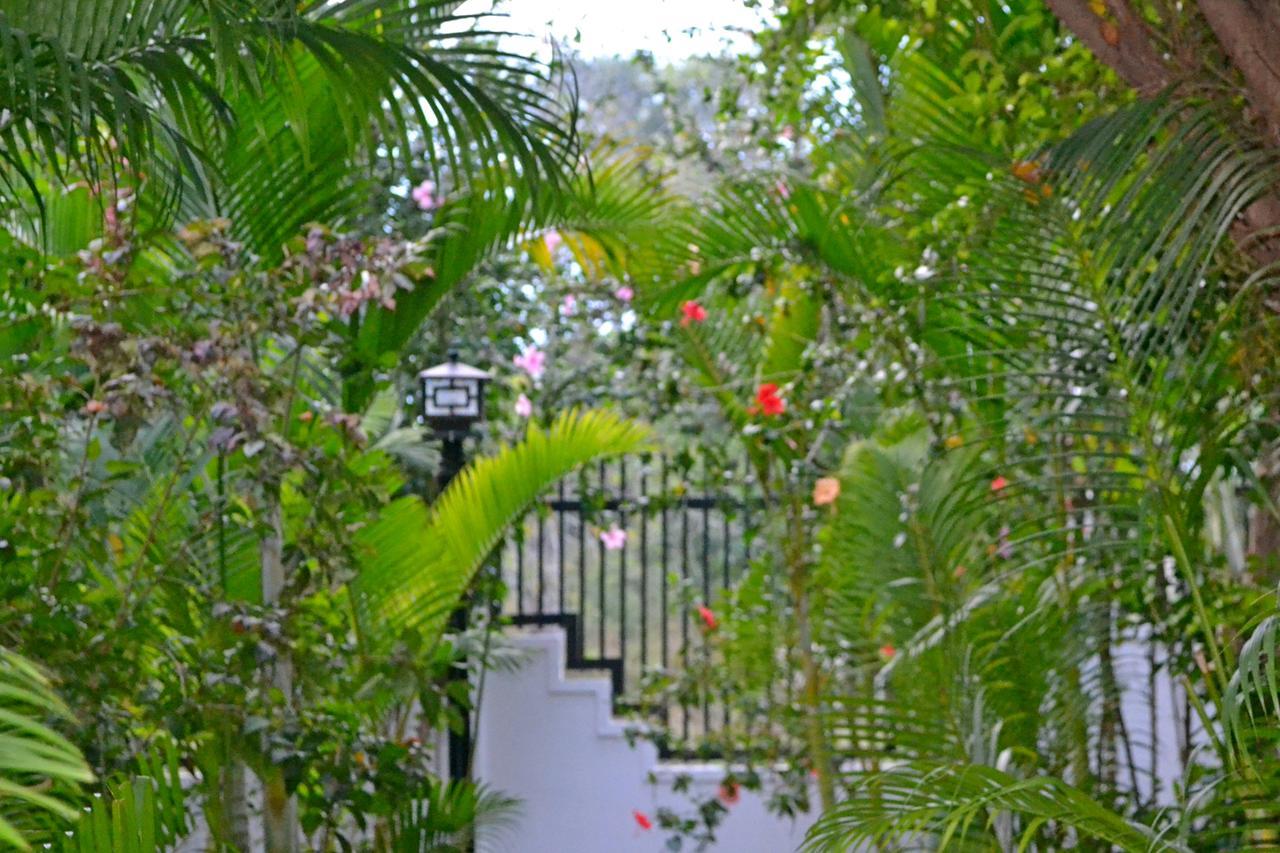 Nature Boutique Residence Siem Reap Exterior photo